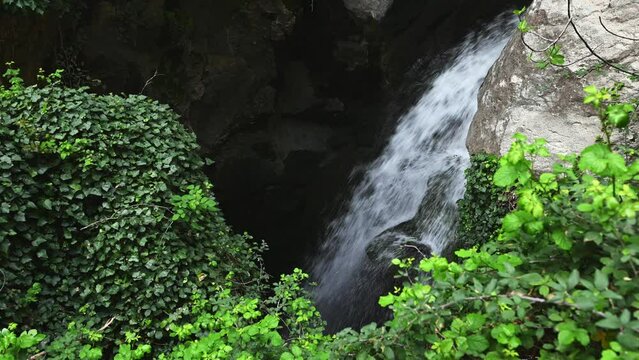 Waterfall. A clean water flowing from a source in a cave overgrown with wild ivy in mountains of La Sierra de Cazorla. Beauty in nature. Environmental conservation. Tourism. Discovering nature. Spain