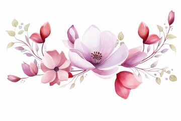 Watercolor cyclamen clipart with delicate pink and white blooms. flowers frame, botanical border, pink and white blooms , on white background.