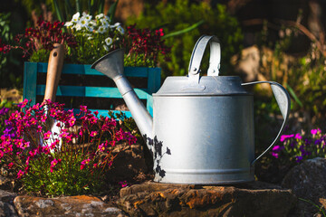  Metal watering can in the garden of flowers