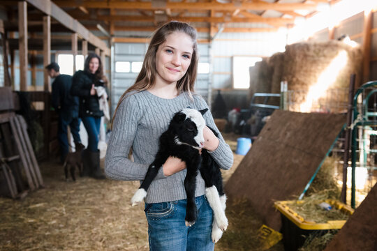 Pretty tween girl holding lamb in barn.