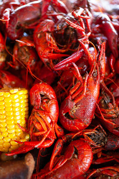 A pile of cooked crawfish and a piece of corn