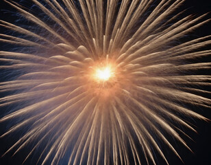 Obraz premium Bright Firework Bursting in Dark Night Sky