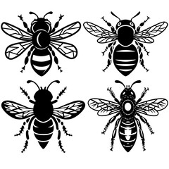 Set of Bee Vector Design, Bee SVG Design