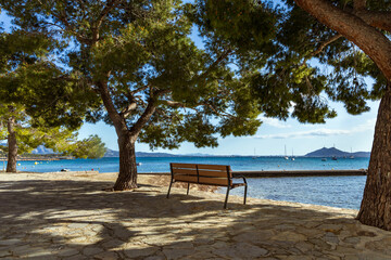 Fototapeta na wymiar The beautiful bay of Puerto Pollenca, Mallorca, Spain with the Pine walk along the Promenade. Puerto De Pollensa 