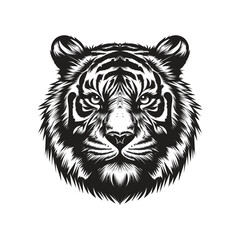 Tiger head vector illustration design white background
