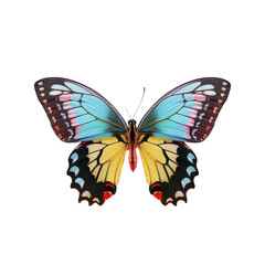 Colorful butterfly with vibrant wings on transparent with reflection