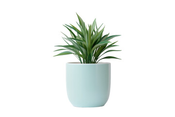 A Potted Plant With a Lush Green Foliage. On a White or Clear Surface PNG Transparent Background.