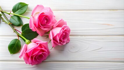Beautiful pink roses on white wooden background.