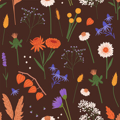 Different wild and garden flowers on endless background. Repeatable pattern of various meadow blossom plants, wildflowers. Floral backdrop, botanical decoration. Flat seamless vector illustration - obrazy, fototapety, plakaty
