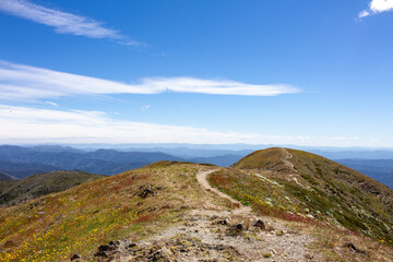 Hiking trail in the mountains on a sunny summer's day. Mt feather top, alpine national park, Victoria, Australia.