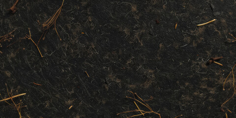 	
closeup texture of black paper with small twigs scattered across it,	
 - obrazy, fototapety, plakaty