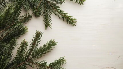 Fir branches arranged on plank wood texture with green nature elements for Christmas background