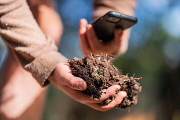 regenerative organic farmer, taking soil samples and looking at plant growth in a farm. practicing sustainable agriculture in australia