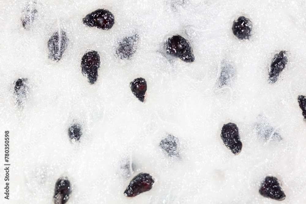 Wall mural Seeds on dragon fruit pulp as background. Macro