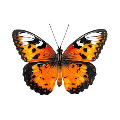 Butterfly on transparent background. Generative ai design.