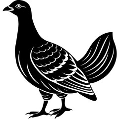 dove of peace,black grouse silhouette vector illustration,icon,svg,grouse characters,Holiday t shirt,Hand drawn trendy Vector illustration,peacock on a white background