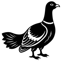 dove of peace,black grouse silhouette vector illustration,icon,svg,grouse characters,Holiday t shirt,Hand drawn trendy Vector illustration,peacock on a white background