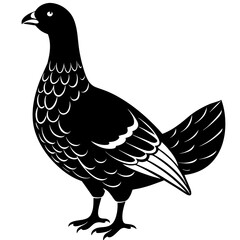 dove of peace,black grouse silhouette vector illustration,icon,svg,grouse characters,Holiday t shirt,Hand drawn trendy Vector illustration,peacock on a white background