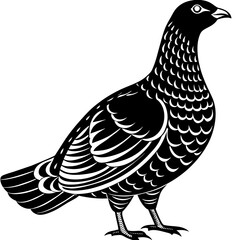 dove of peace,black grouse silhouette vector illustration,icon,svg,grouse characters,Holiday t shirt,Hand drawn trendy Vector illustration,peacock on a white background