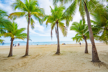 Coconut forest beach scenery at Coconut Dream Corridor in Sanya, Hainan, China