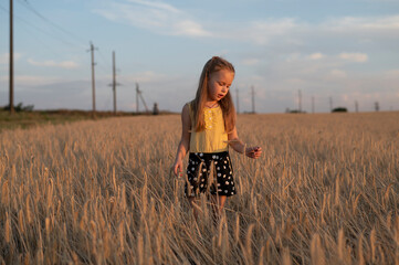Cute little girl in field at sunset	