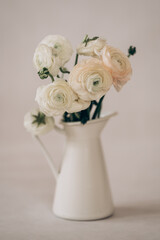 Cream buttercups (Ranunculus) in a white vase on a light background. 