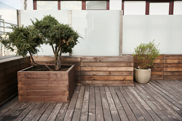 A small tree thrives in a wooden planter on a deck, adding natural beauty and serenity to the...
