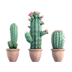 Cactus plants in pots on a Transparent Background