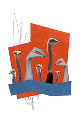 Vertical collage portrait of arms fingers demonstrate duck gesture birds isolated on creative...