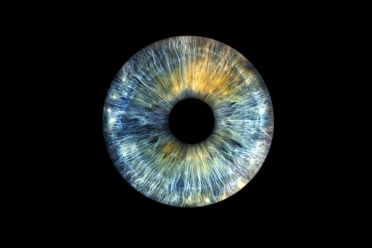 Close up of eye iris on black background, macro, photography