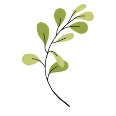 Green leaf watercolor for decoration.