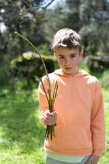 Boy showing the asparagus he picked from the field