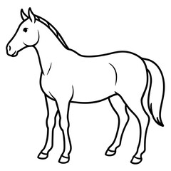 Obraz na płótnie Canvas Horse Standing Line Art Vector