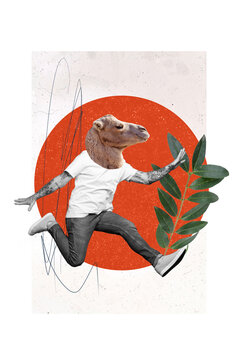 Photo banner collage of head camel wild animal man absurd freak enjoy his new clothes outfit jumping isolated on gray color background