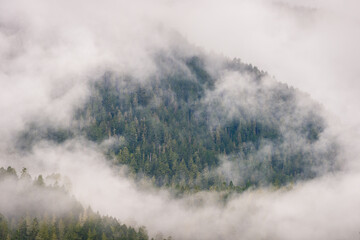 Misty Morning Fog and Haze Covering the Mountains and Pine Forests by Lake Crescent at Olympic National Park, Washington State