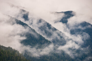 Misty Morning Fog and Haze Covering the Mountains and Pine Forests by Lake Crescent at Olympic...