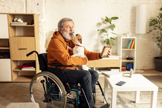 Elderly man sitting on wheelchair at home in cozy warm living room and playing with dog. Comfort and well-being. Concept of healthcare, lifestyle, wellness, retirement, empowerment