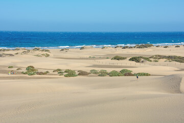 Fototapeta na wymiar Sandy beach of Maspalomas with a view of the sea on Gran Canaria in Spain