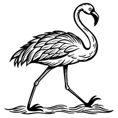 illustration of a flamingo