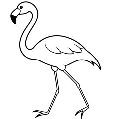 illustration of a flamingo