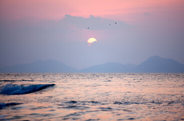 View of the sunset with the flying seagulls at the seaside