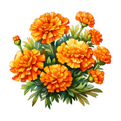 Illustration of a bunch of vibrant orange marigolds with green leaves