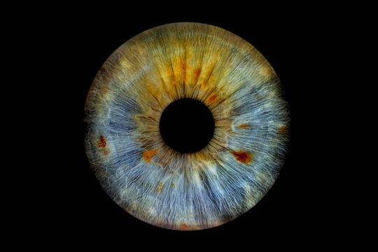Close up of eye iris on black background, macro, photography