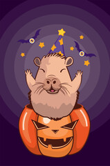Funny capybara sit in pumpkin. Cute cartoon funny capybara sit in Halloween pumpkin - 780368524