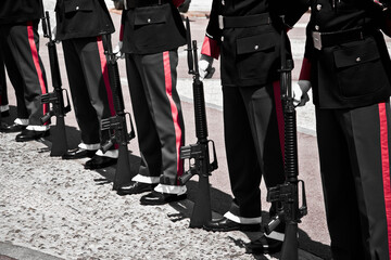 A display of uniformity and discipline, soldiers stand at attention in formation with rifles at a public event