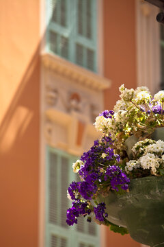 Vibrant purple and white flowers bloom in a street-side hanging pot adding natural beauty to an urban environment