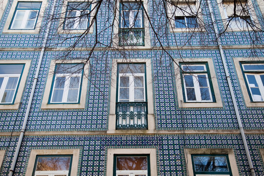 Traditional Portuguese blue tiles decorate the facade of a building, with bare tree branches in front