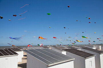 A clear sky dotted with colorful kites flying high above quaint beach huts on a sunny day