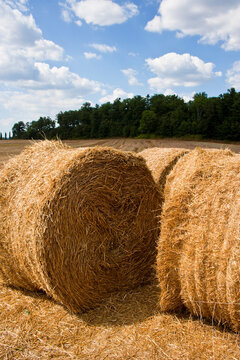 Two large hay bales sit under a bright blue sky with clouds, signifying harvest time in a rural setting
