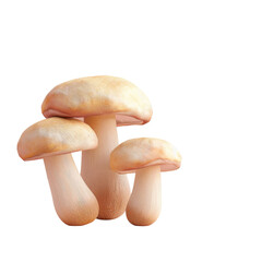 Three mushrooms standing on Transparent Background